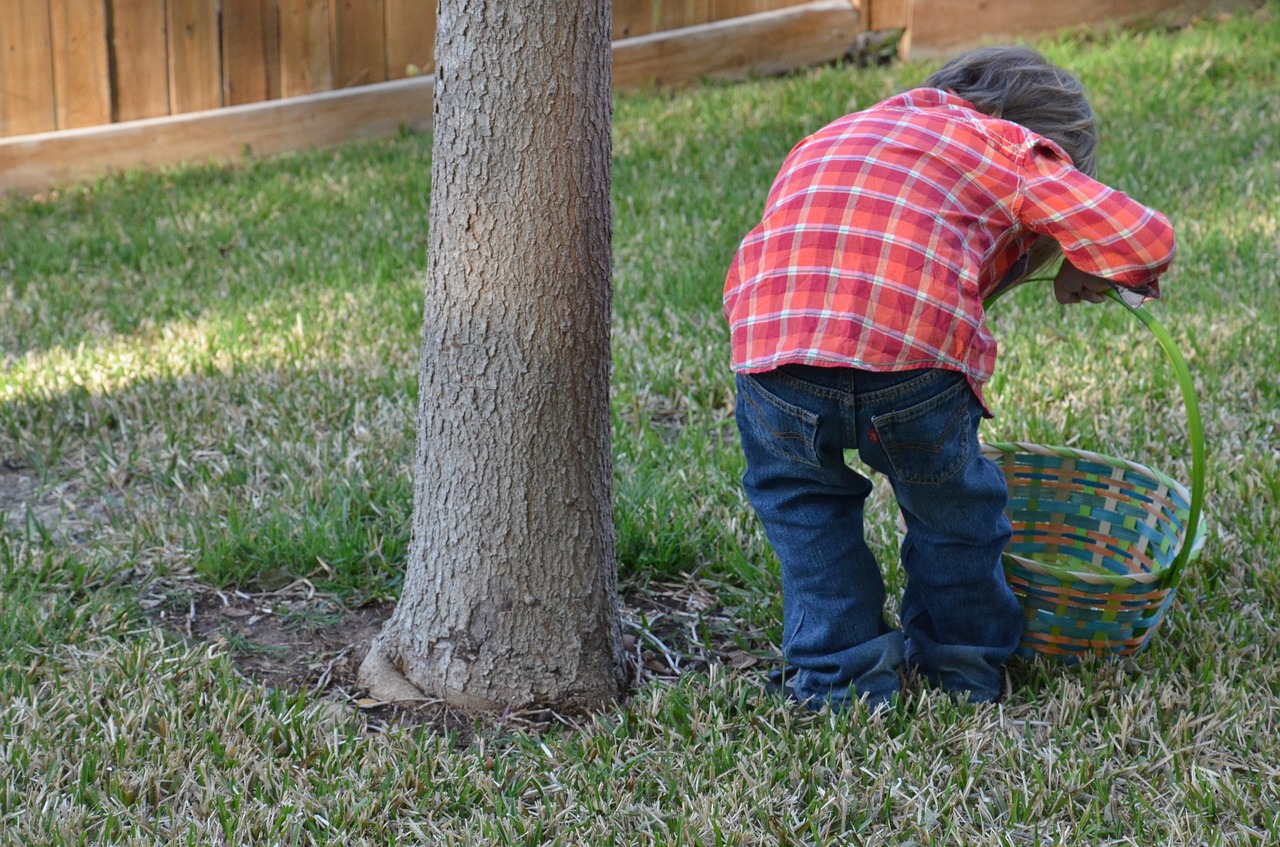 Image - easter easter egg easter egg hunt