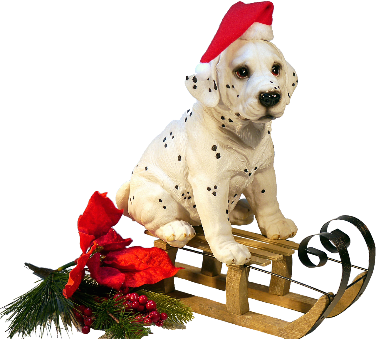 Image - isolated dog on sledge christmas