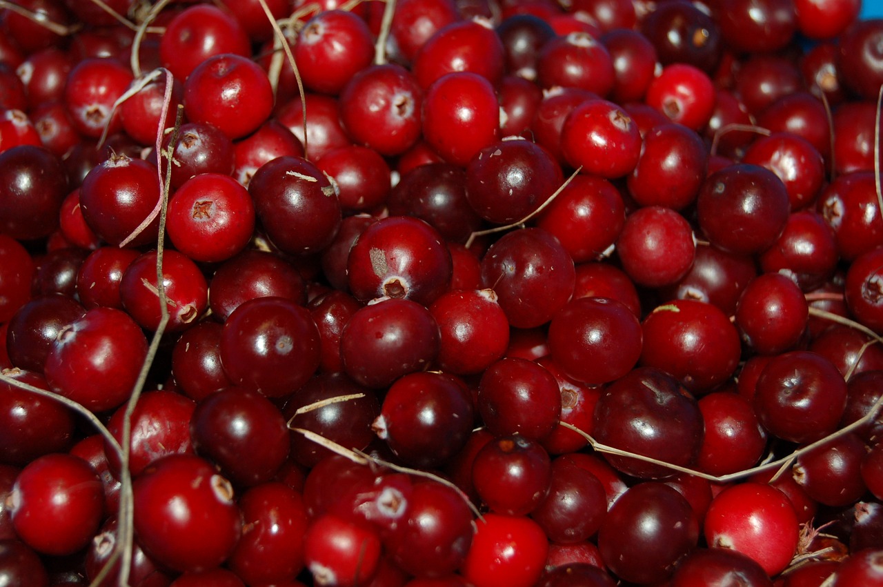 Image - cranberries berry red vitamin