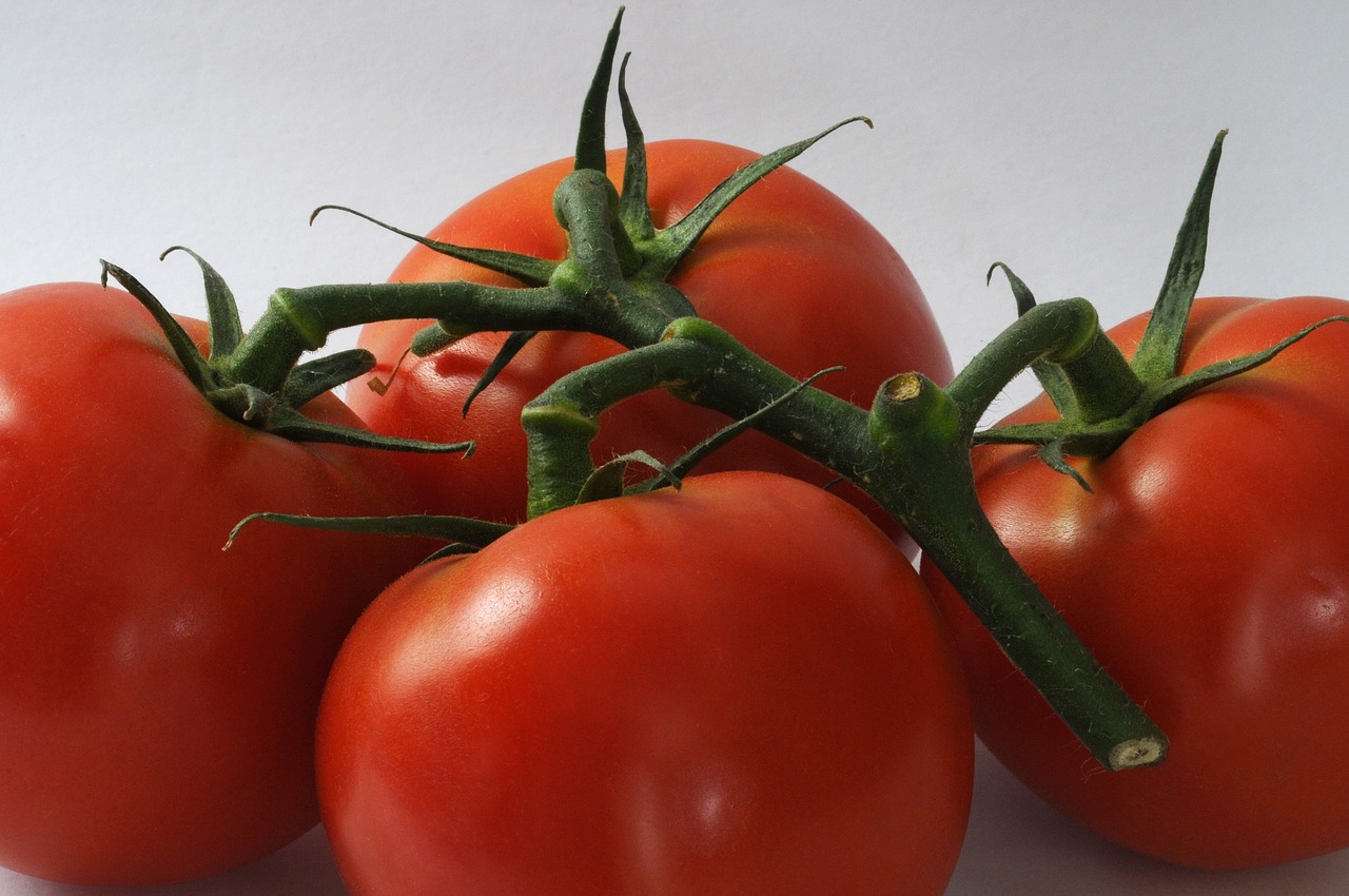 Image - tomatoes fresh food vegetable