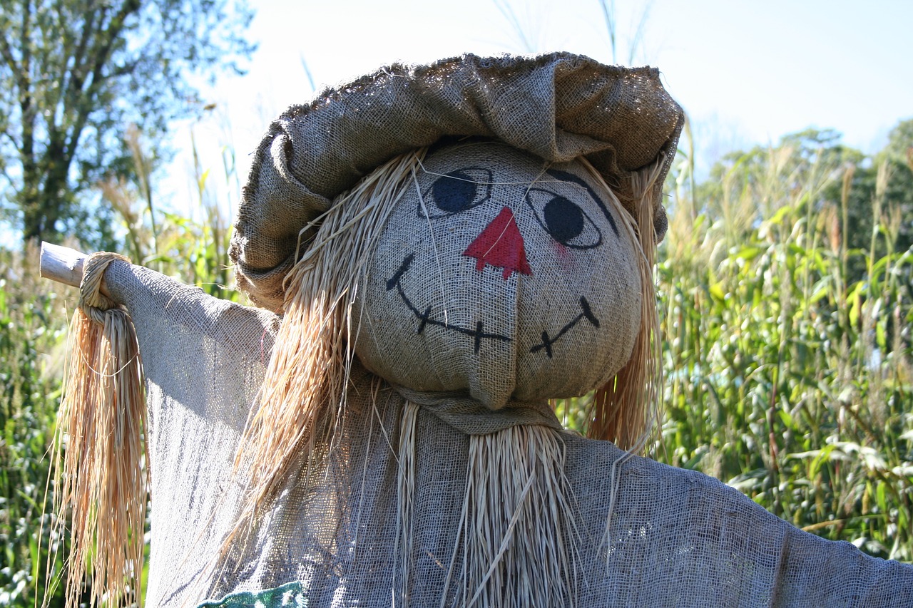 Image - scarecrow fall straw jute