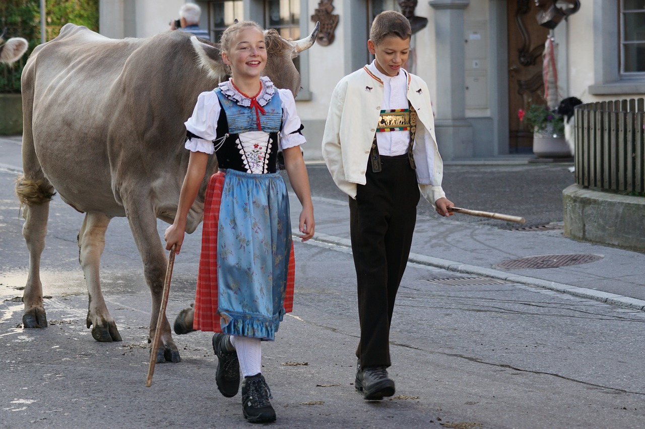 Image - cattle show appenzell village