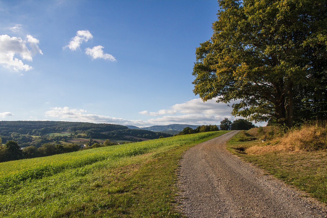 Image - lane landscape nature away tree