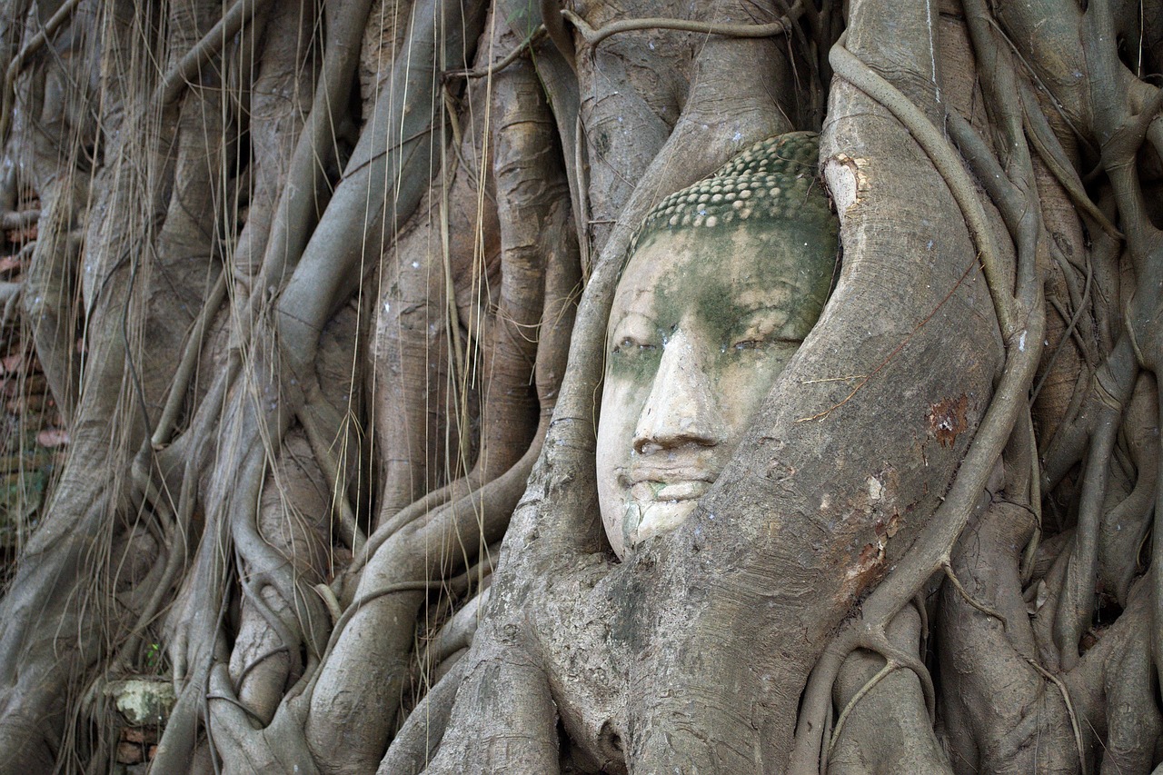 Image - head of god bodhi tree ayutthaya
