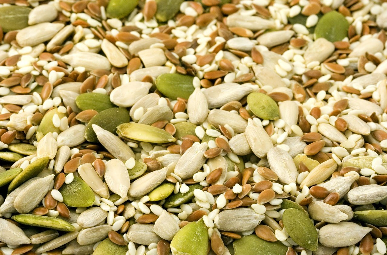 Image - seed seeds kernel nut nuts