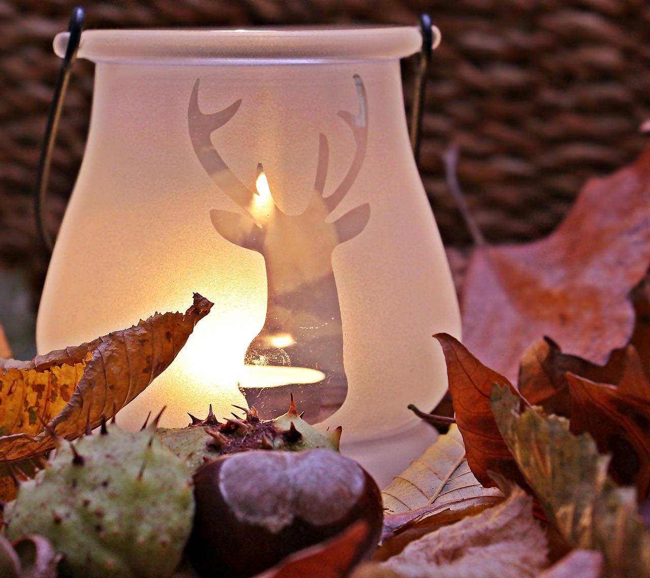 Image - autumn mood autumn fall leaves