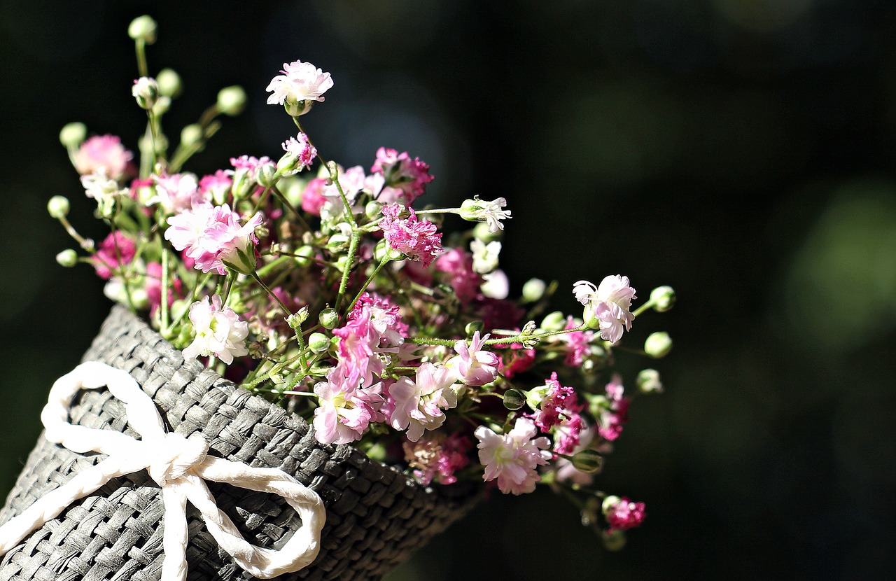 Image - bag gypsofilia seeds gypsophila bag