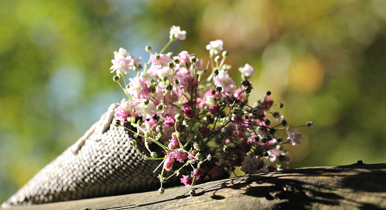 Image - bag gypsofilia seeds gypsophila bag