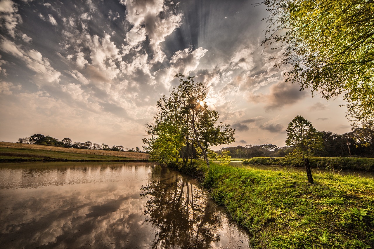 Image - tree nature sky landscape green