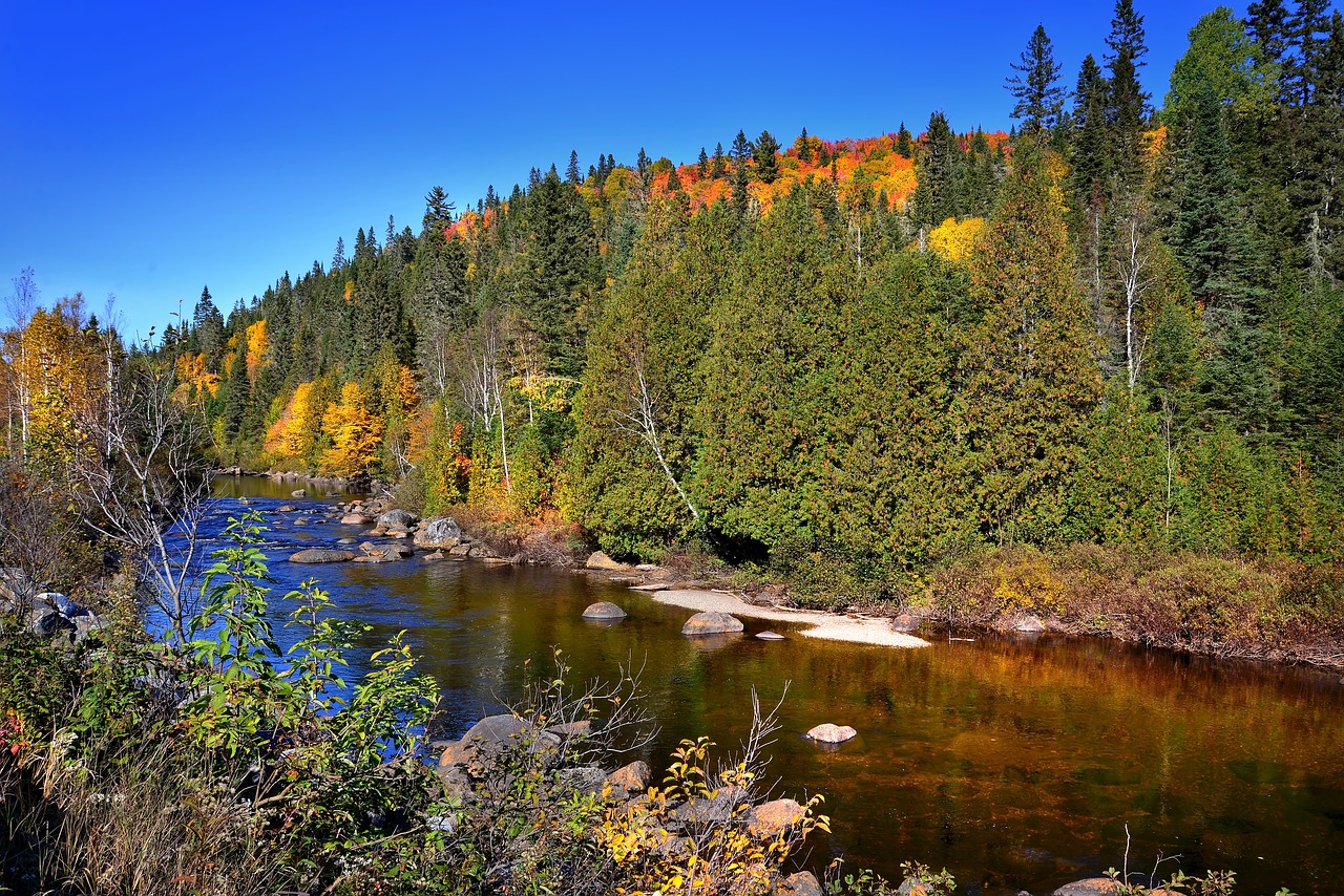 Image - autumn landscape fall river forest