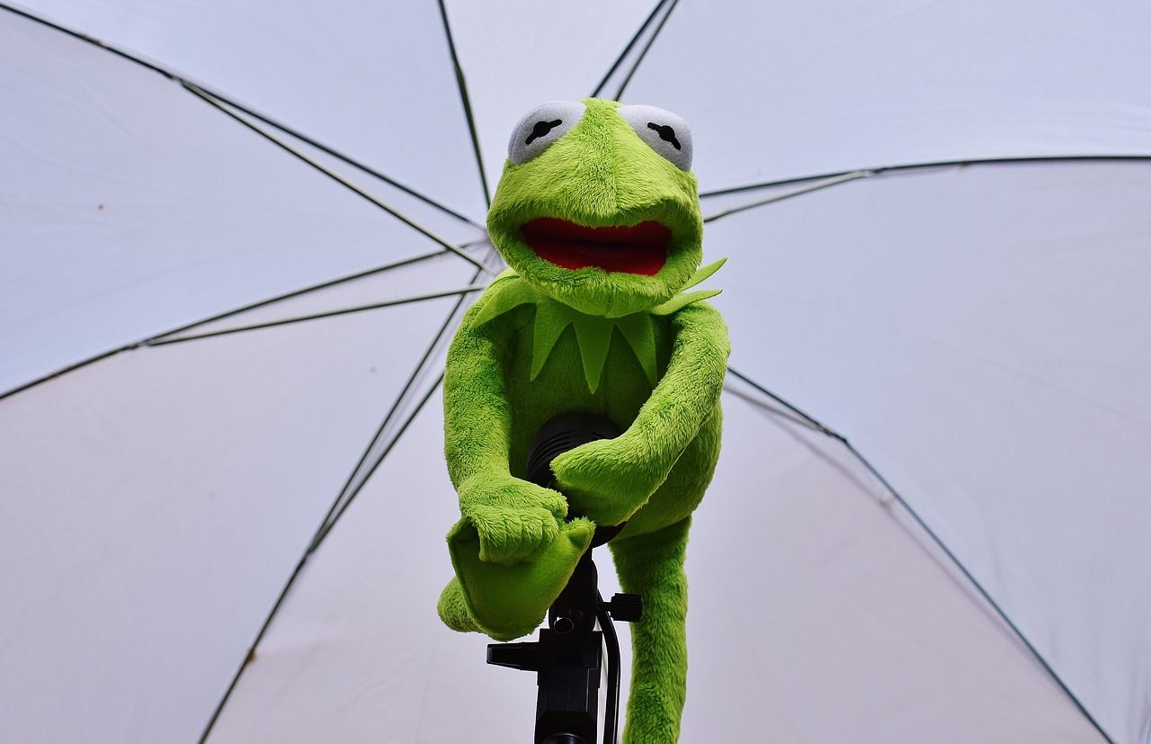 Image - kermit photo screen frog funny