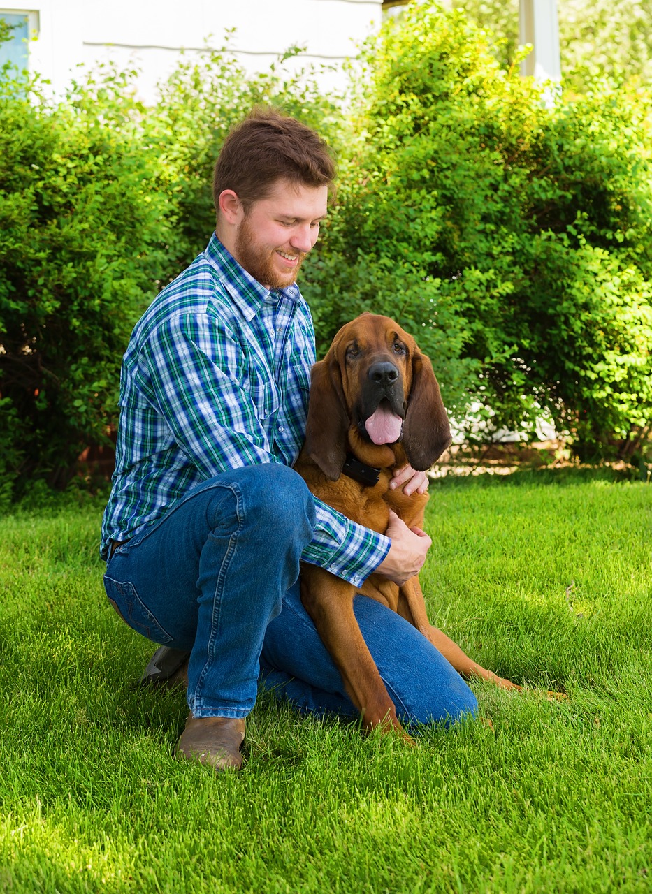 Image - blood hound man best friend dog