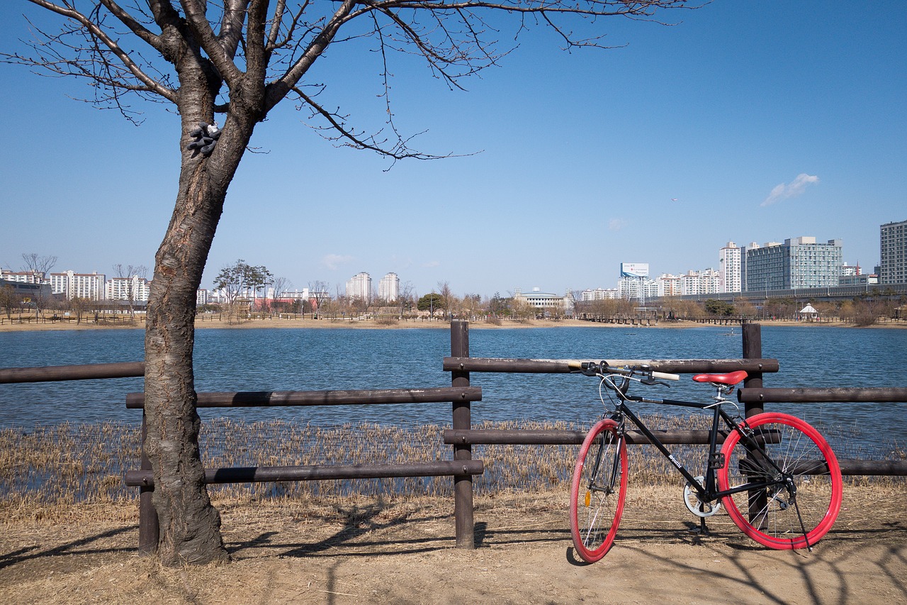 Image - bike bicycle wheel winter tree