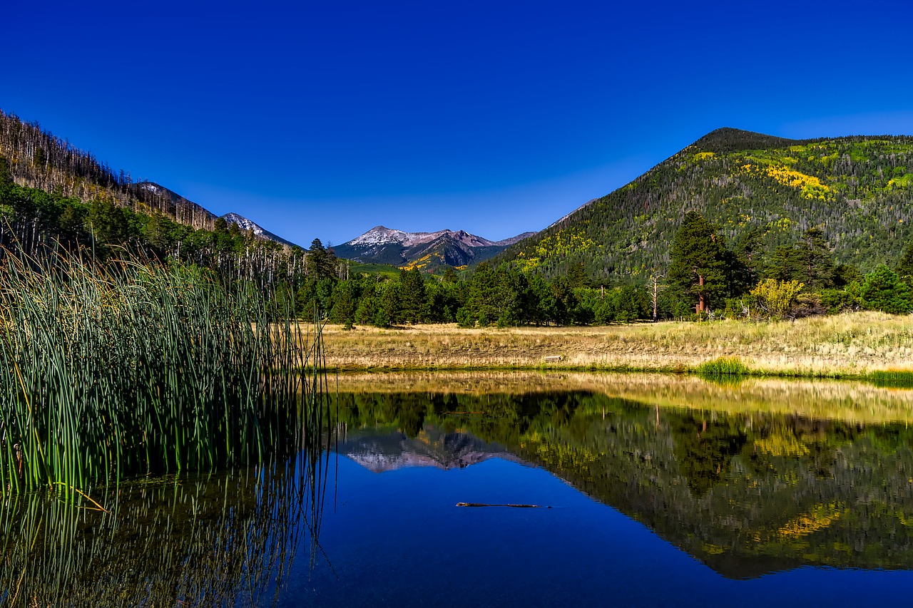 Image - coconino national forest arizona hdr