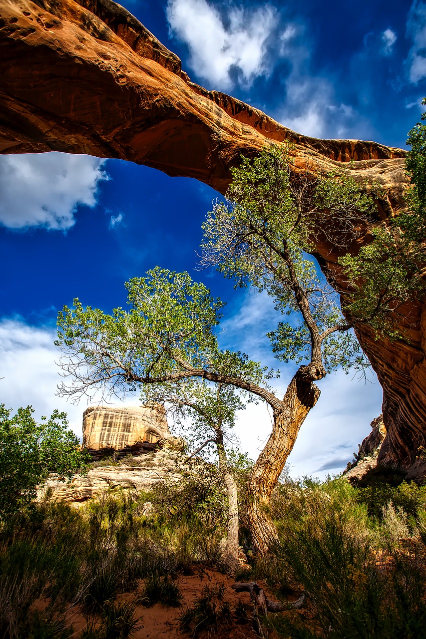 Image - sipapu bridge natural landmark