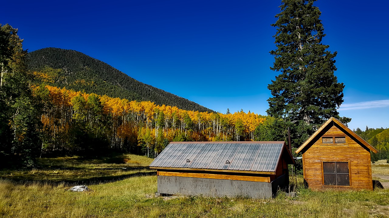 Image - arizona landscape scenic fall