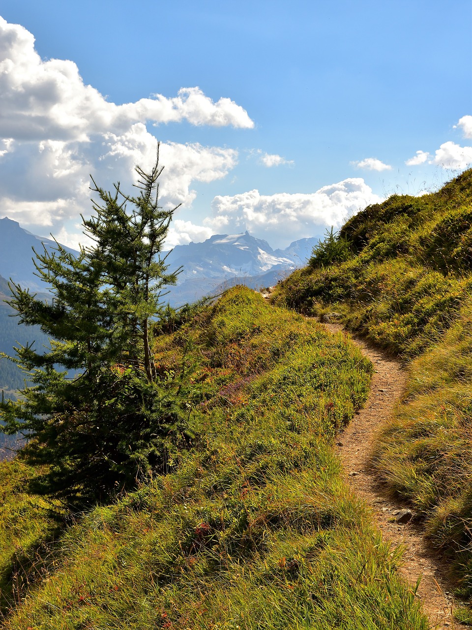 Image - trail fir mountains nature