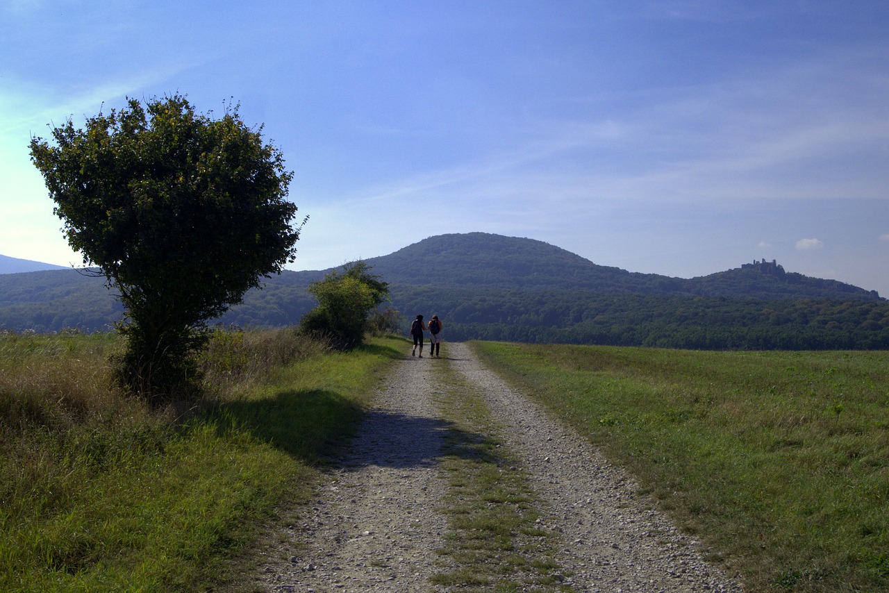 Image - slovakia plavecký castle path tree