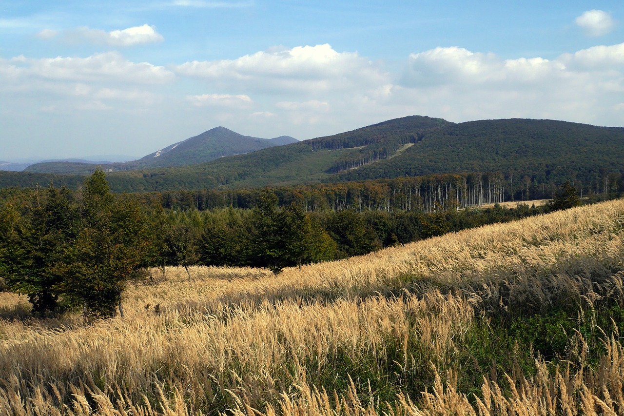 Image - slovakia little carpathians nature