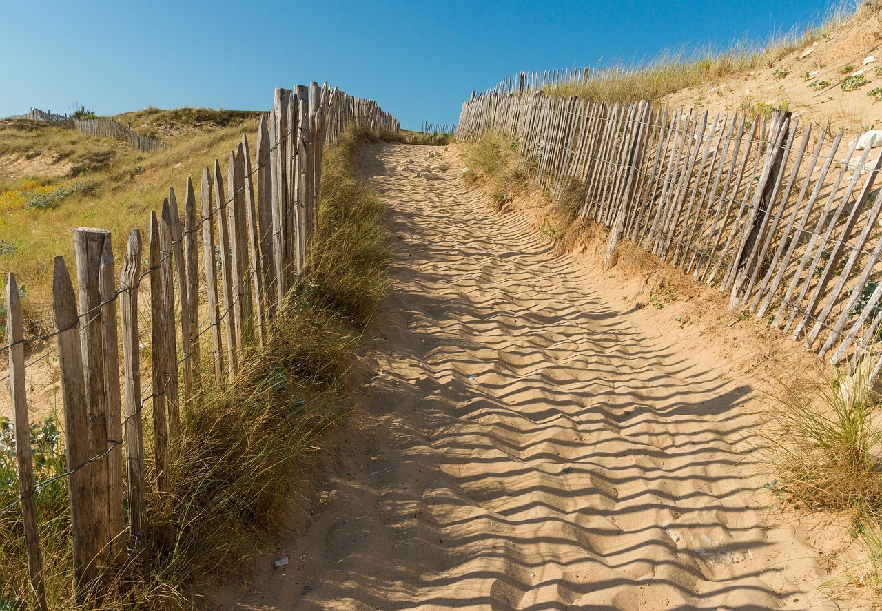 Image - beach path picket fence sand dunes