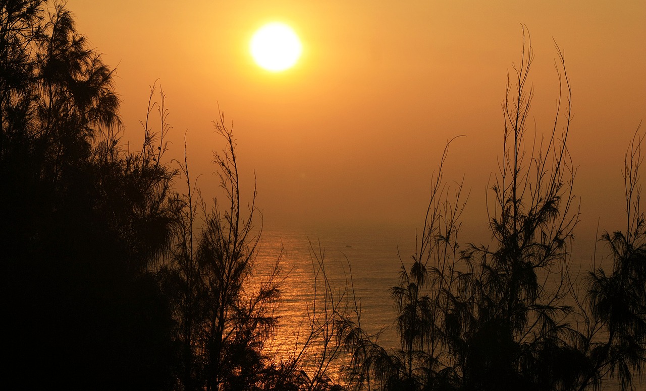 Image - dawn sun sunrise summer nature