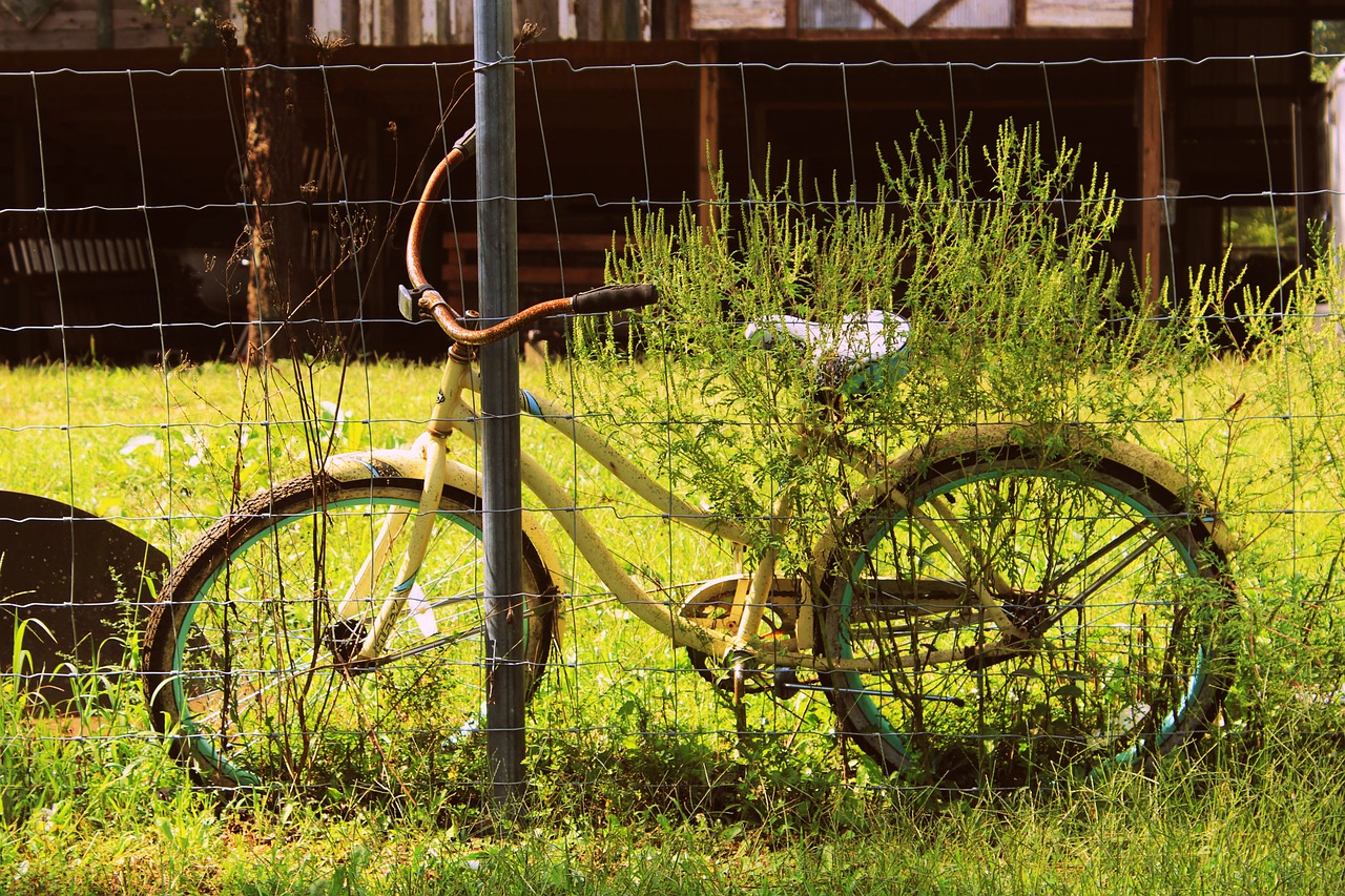 Image - bike bicycle old antique abandoned