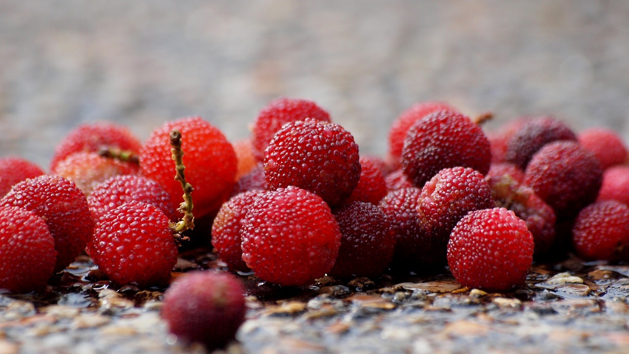 Image - berry bayberry red healthy fruit
