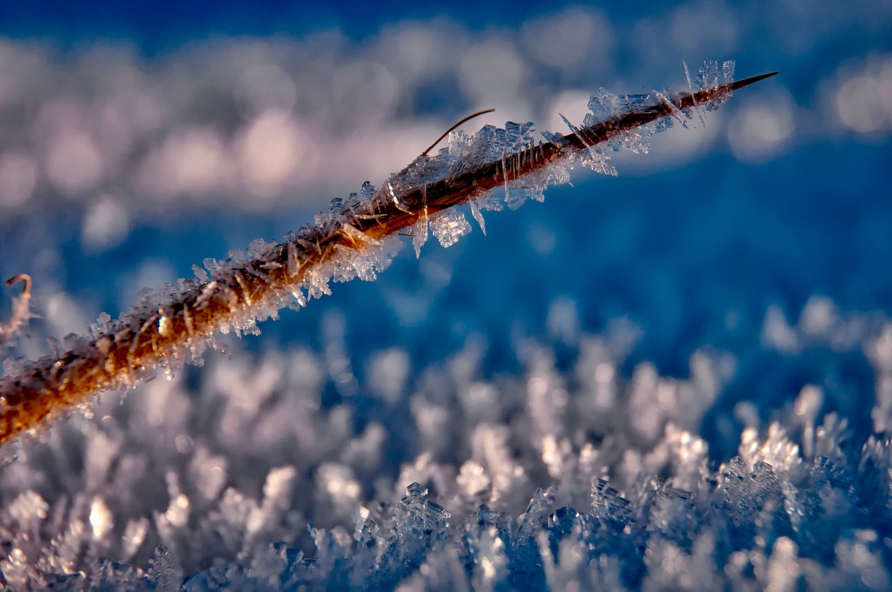 Image - ice hoarfrost frost crystals macro