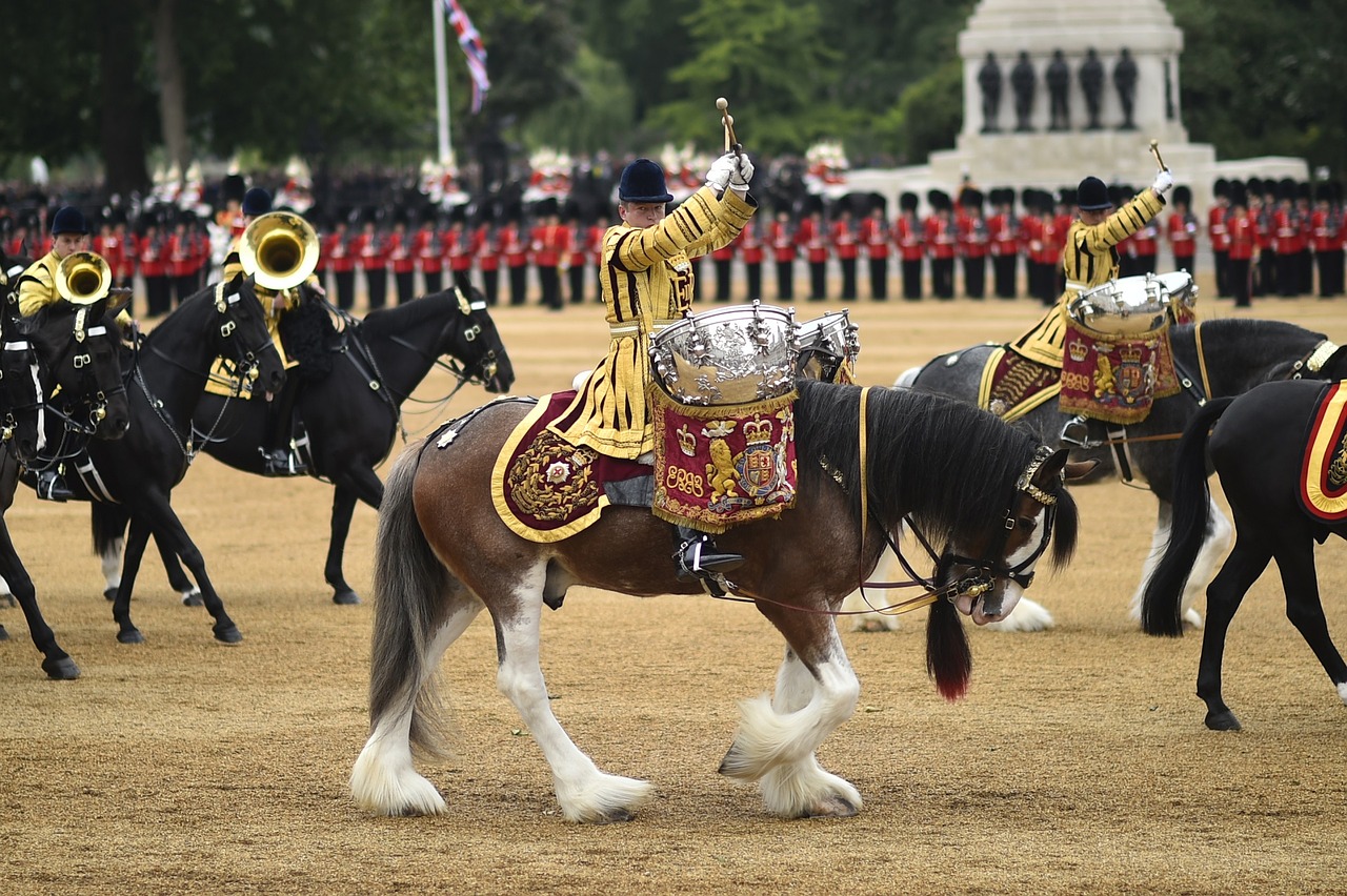 Image - ceremony military parade