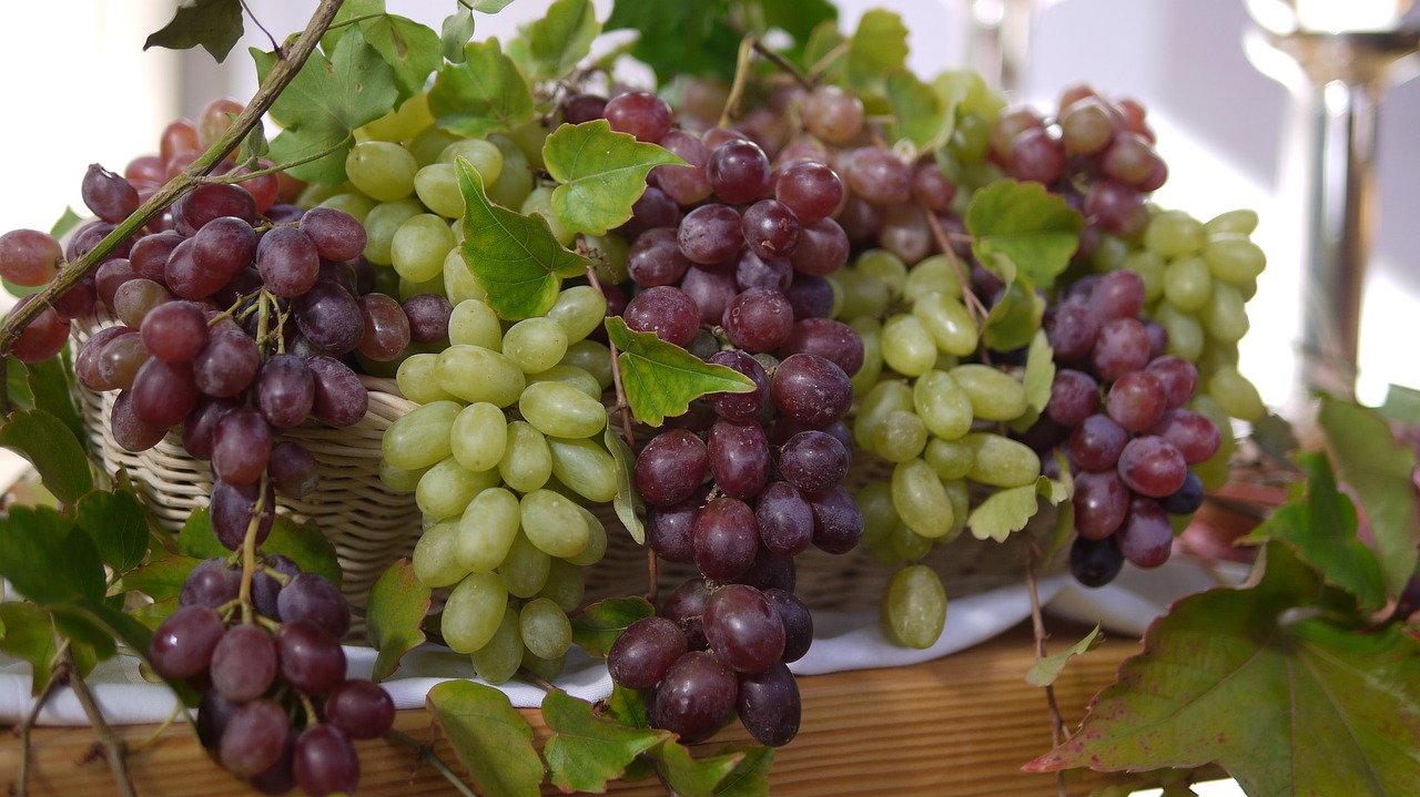 Image - nature autumn vines harvest grape