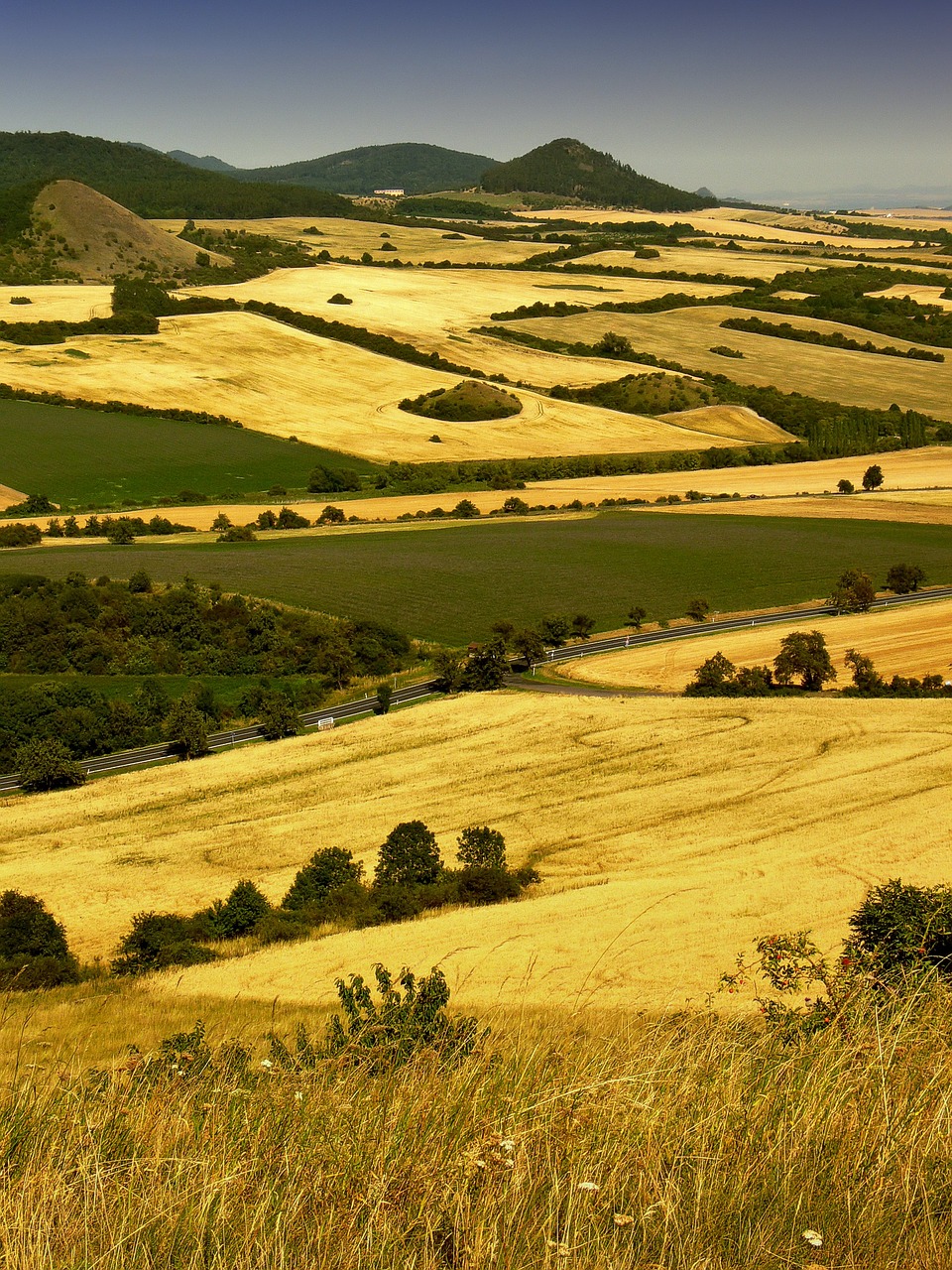 Image - central mountains meadows field