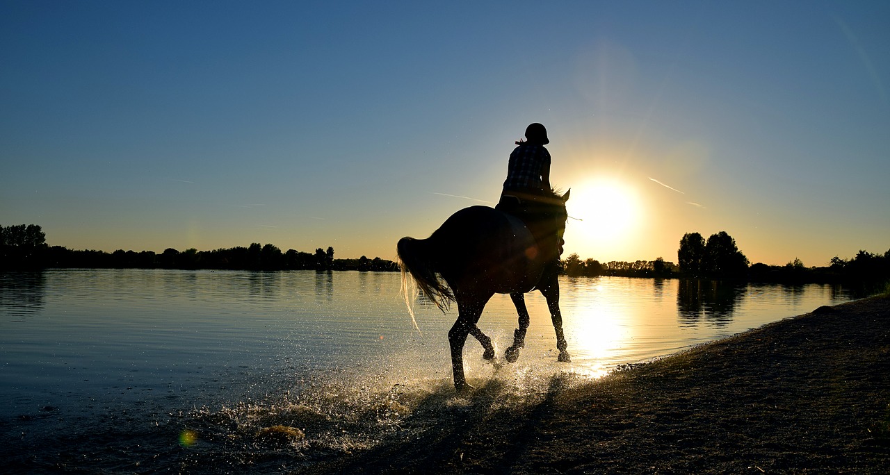 Image - ride gallop sea water reiter