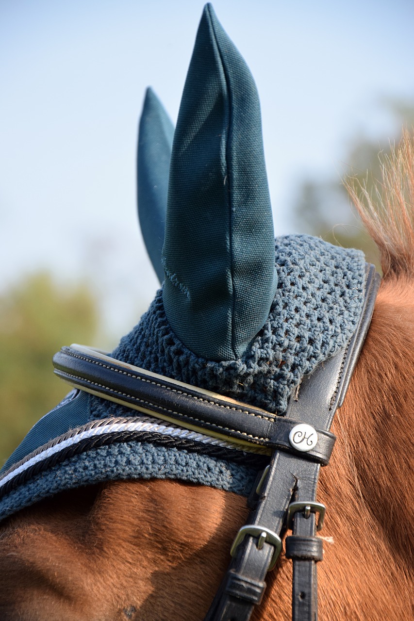 Image - horse ears flying hat bridle