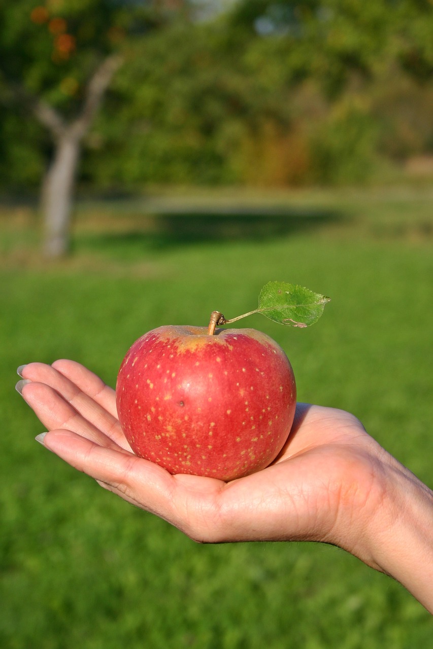 Image - apple fruit ripe vitamins