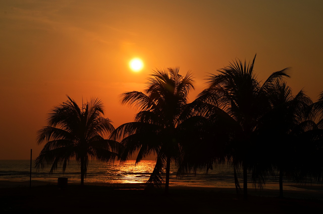 Image - sunset palm sea beach travel