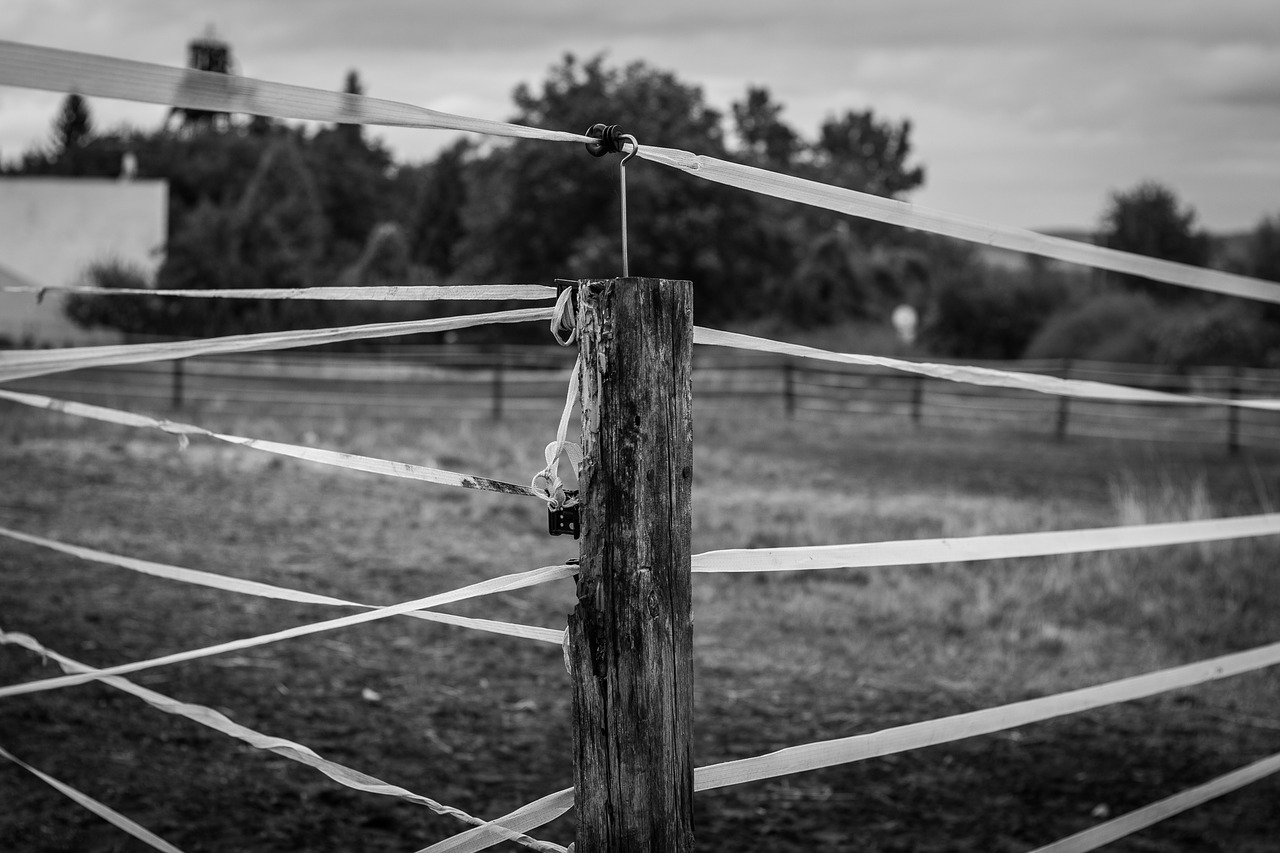 Image - pen belt range fence grass