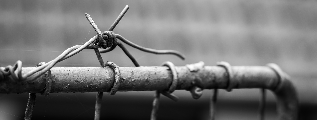 Image - barbed wire wire fencing defense