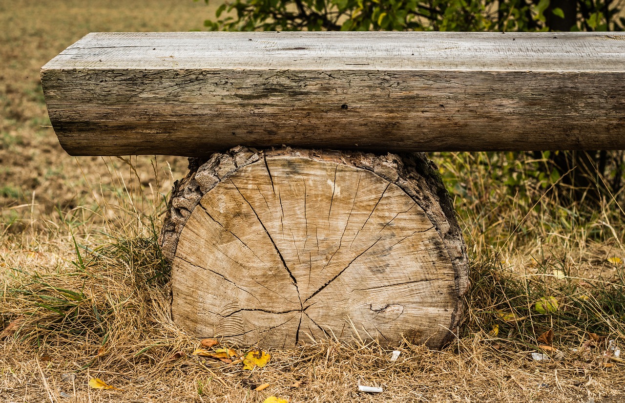 Image - bench wooden strain session sit