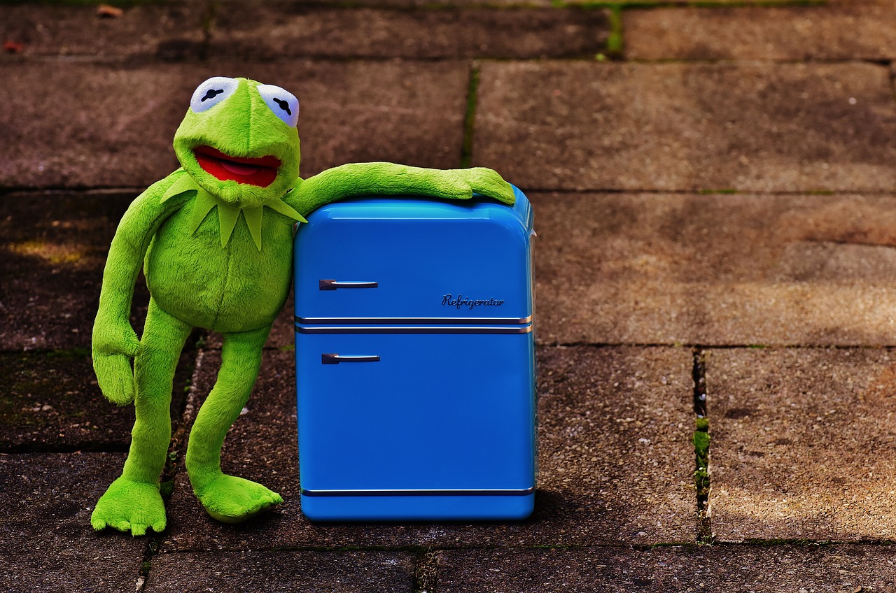 Image - kermit frog refrigerator funny