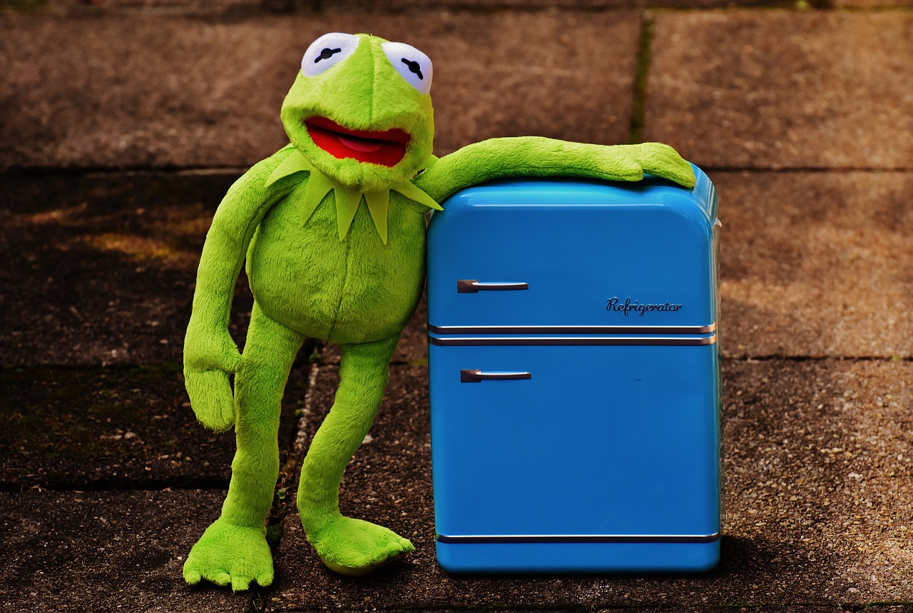 Image - kermit frog refrigerator funny