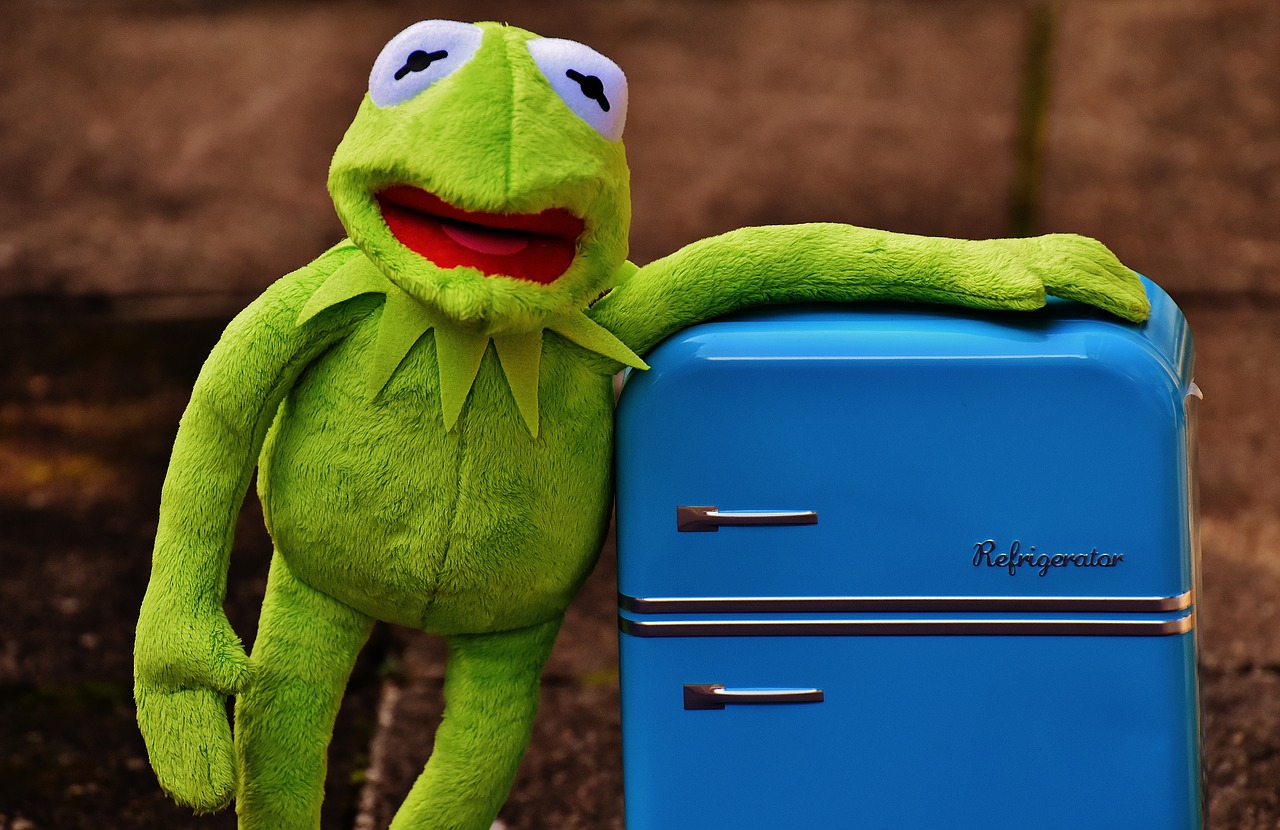 Image - kermit frog refrigerator funny