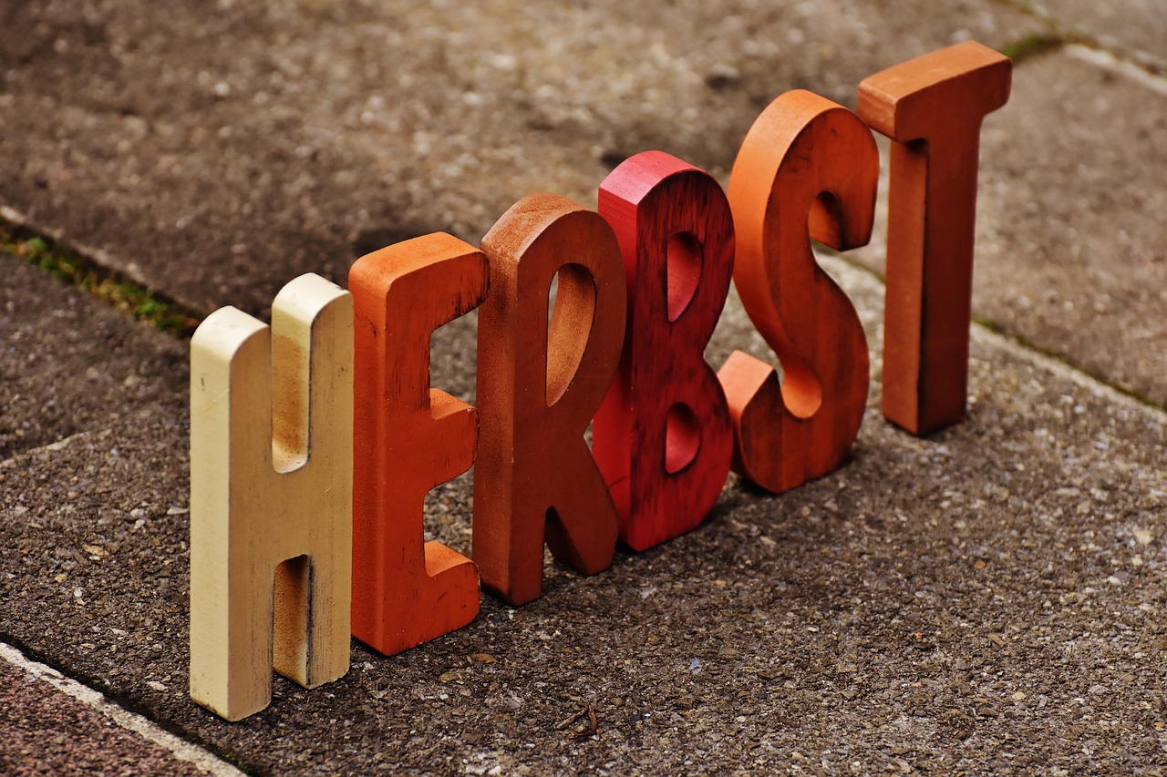 Image - autumn time of year font lettering
