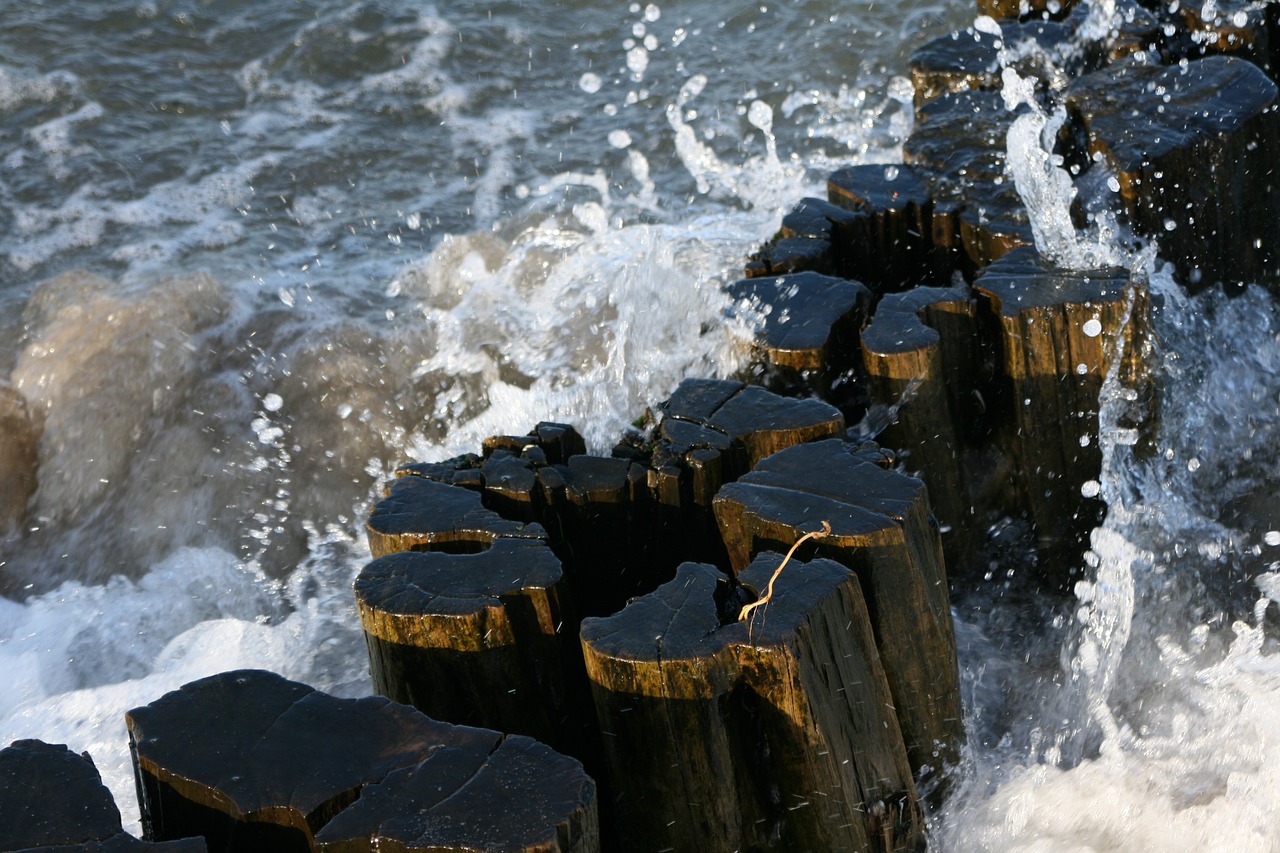 Image - baltic sea wood spray wave beach