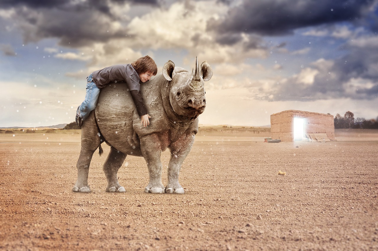 Image - rhino nature desert holiday waves