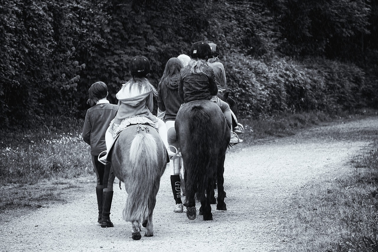 Image - promenade horses riders ponies