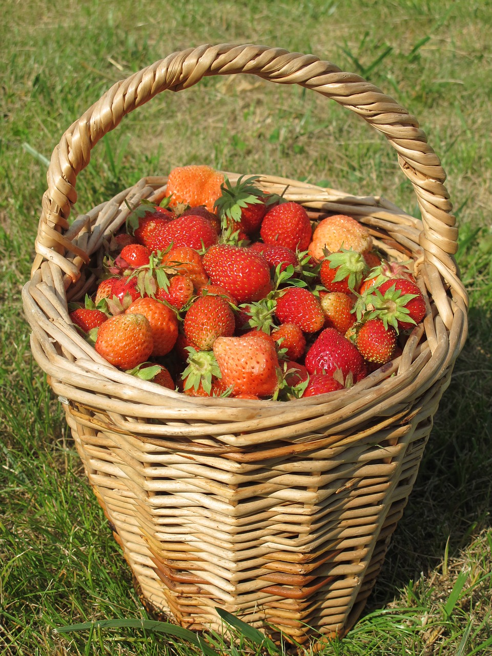Image - strawberry summer dacha basket