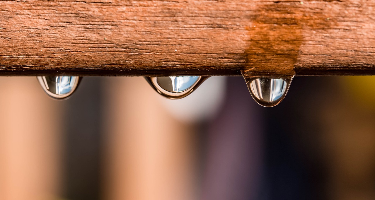 Image - drip drop of water raindrop wet