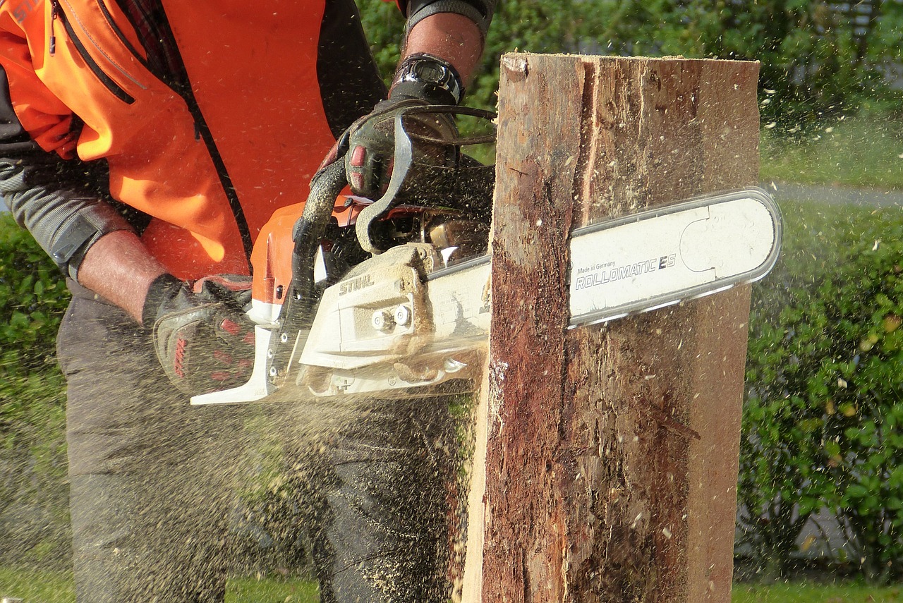 Image - wood chainsaw tree artwork