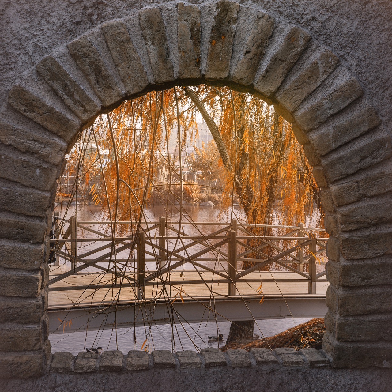 Image - landscape park nature istanbul