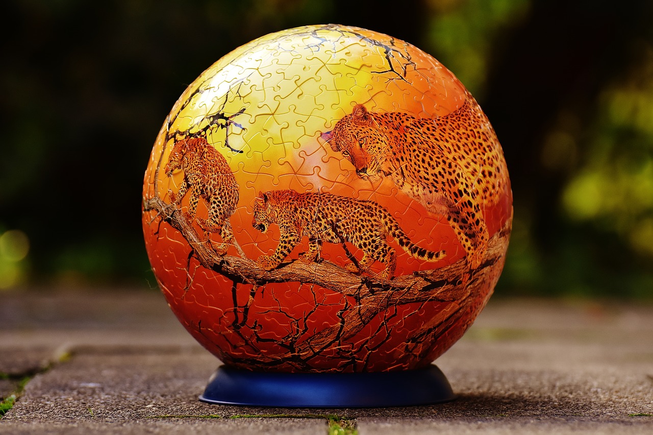 Image - puzzle ball leopard wild animals